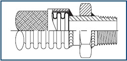 NPT male with welded on Hex Nut_Flexible Metal Hose